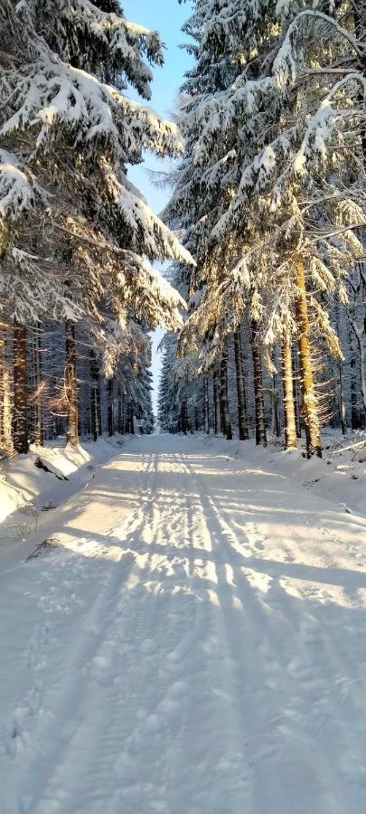 Apartman Petra Kovářská エクステリア 写真