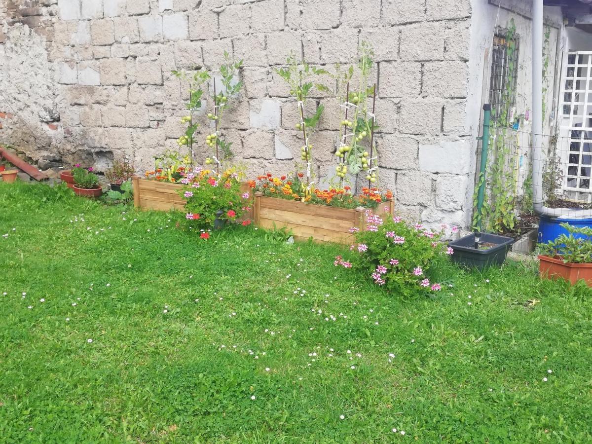 Apartman Petra Kovářská エクステリア 写真